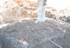 The Dimondstree-transplanting-4.jpg; ?>